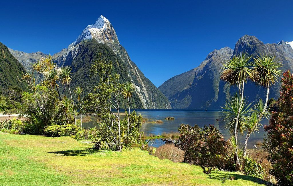 Nueva Zelanda